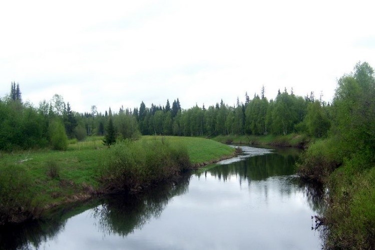 Онский биологический заказник.