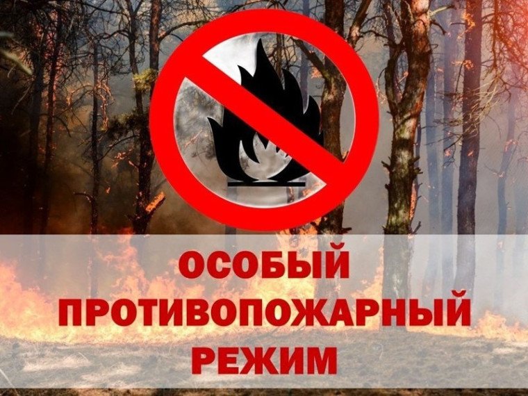 В лесах Архангельской области с 7 сентября до 21 сентября устанавливается особый противопожарный режим.. В лесах Архангельской области с 7 сентября до 21 сентября устанавливается особый противопожарный режим..