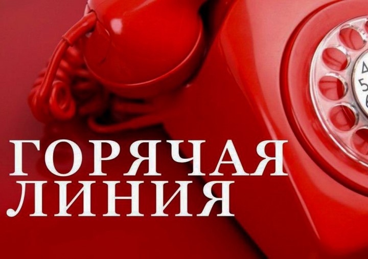 Жители Архангельской области могут сообщить о фактах незаконной продажи алкоголя по телефонам «горячей линии». Жители Архангельской области могут сообщить о фактах незаконной продажи алкоголя по телефонам «горячей линии».
