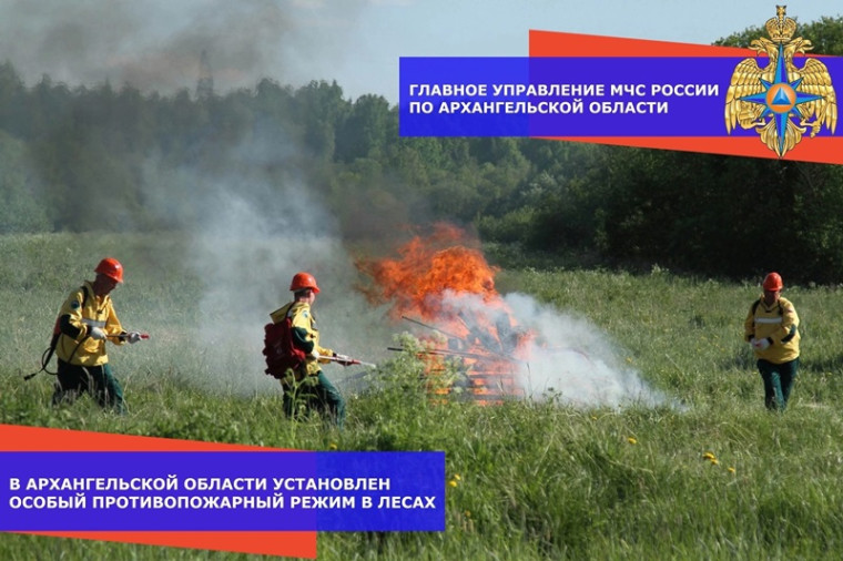 В Архангельской области установлен особый противопожарный режим в лесах.. В Архангельской области установлен особый противопожарный режим в лесах..
